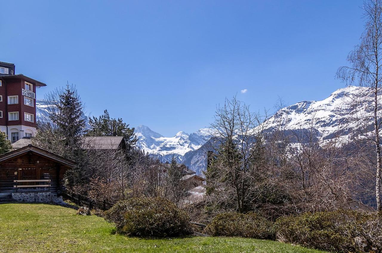 Chalet Steingaertli 1 Wengen Eksteriør bilde
